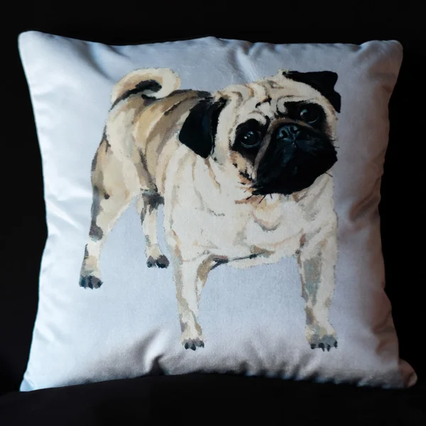 Canine Pug - Velvet.jpg