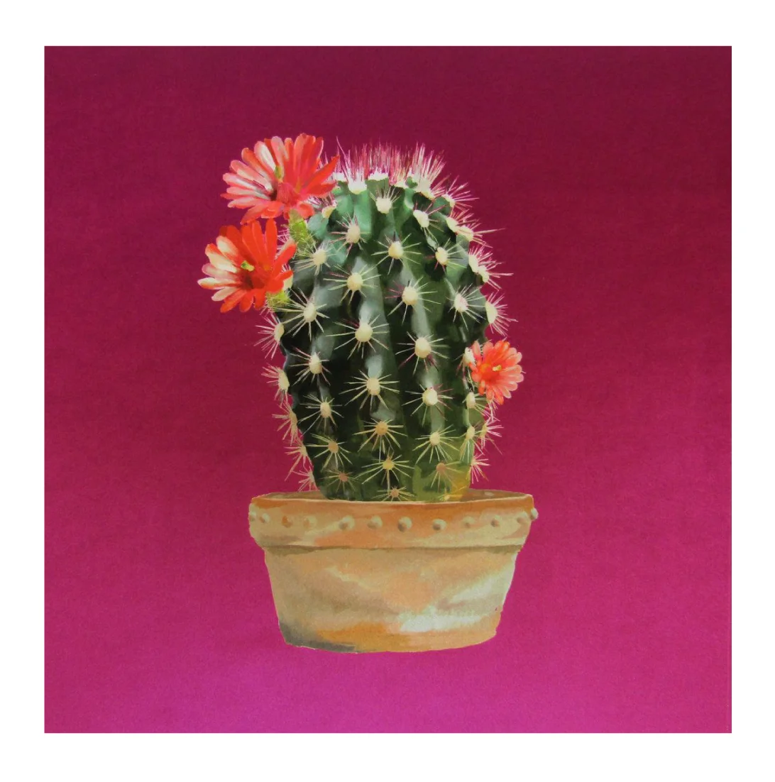 CACTUS BERRY VELVET.jpg
