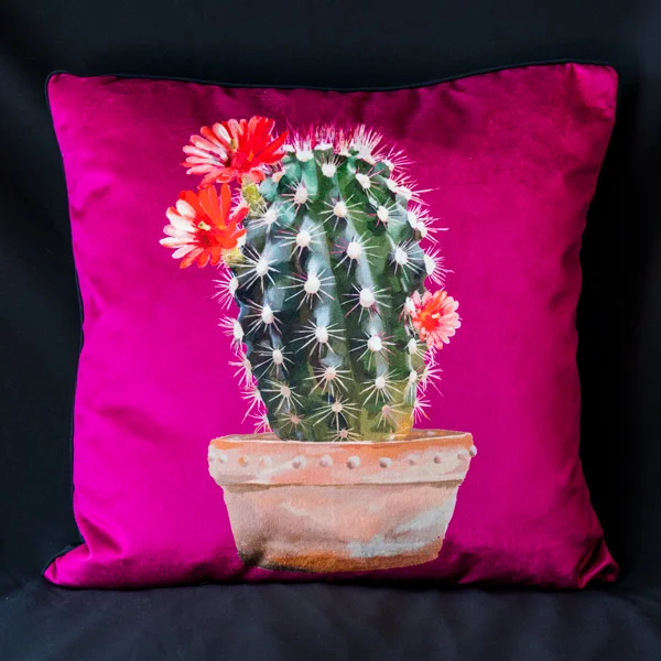 Cactus-Berry---Velvet.jpg
