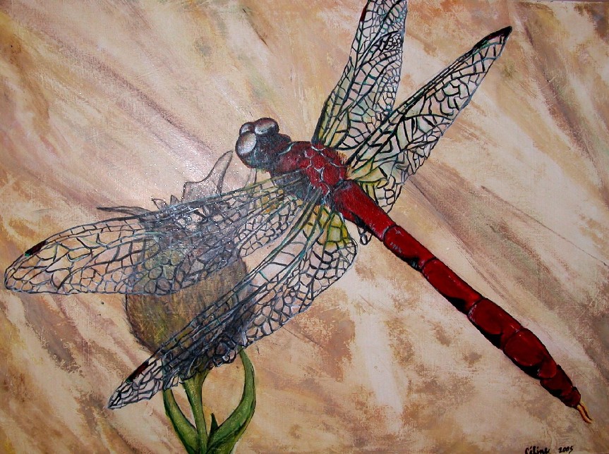 dragonfly.JPG