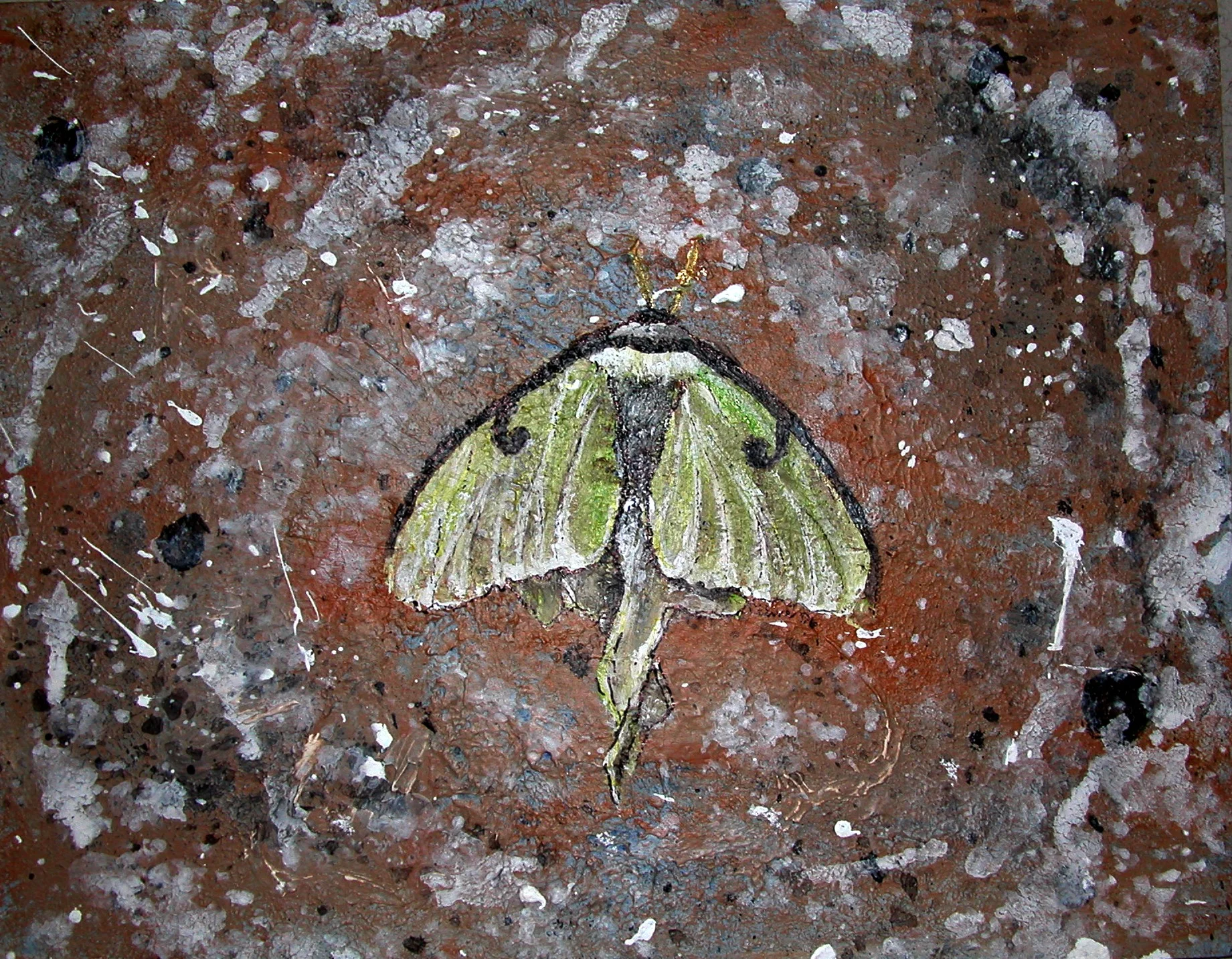 DSCN1911.JPG