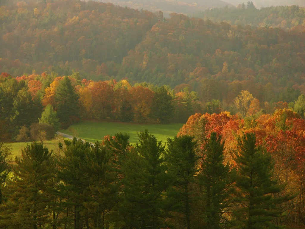 fall correct pixels.jpg