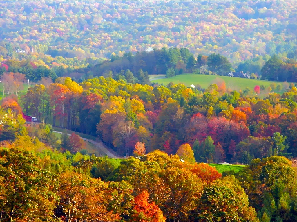 fall colors right pixels.jpg