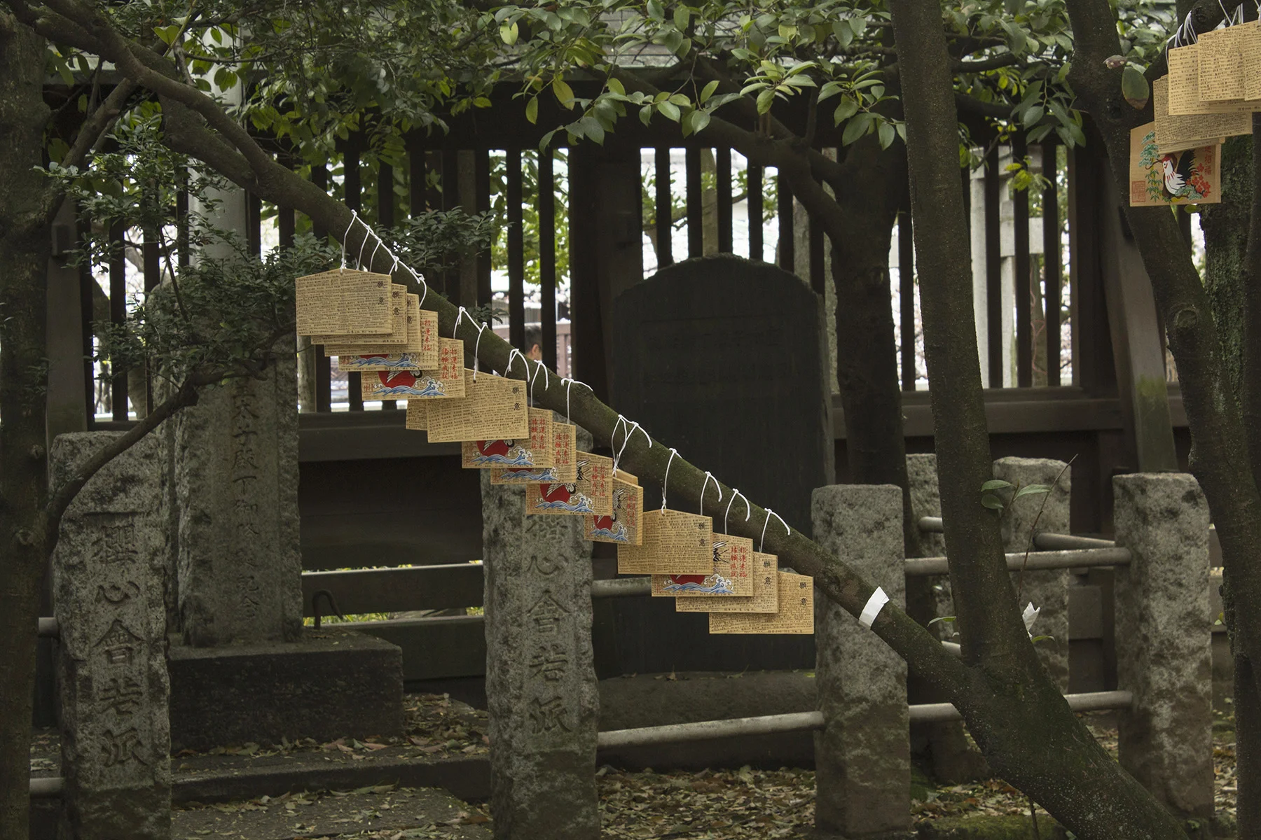 Japan untitled #1