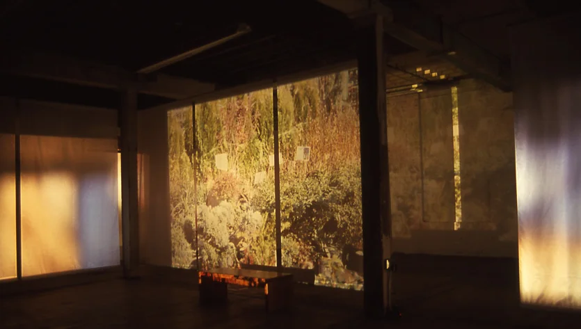 Installation - Artificial Environment, Simon Aldridge, 1999 - Somerville, Massachusetts