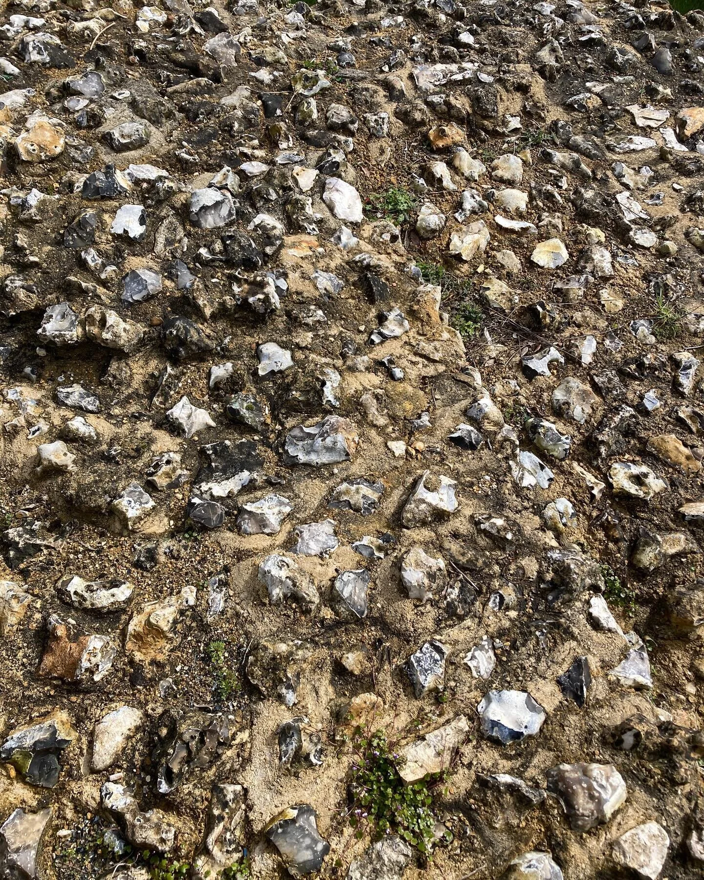 Something about the ordered chaos of this wall built around 800AD in Winchester from local flint stone bound with lime. The later buildings around it use the same materials in a more refined way. They don’t have the same viceral connection betw