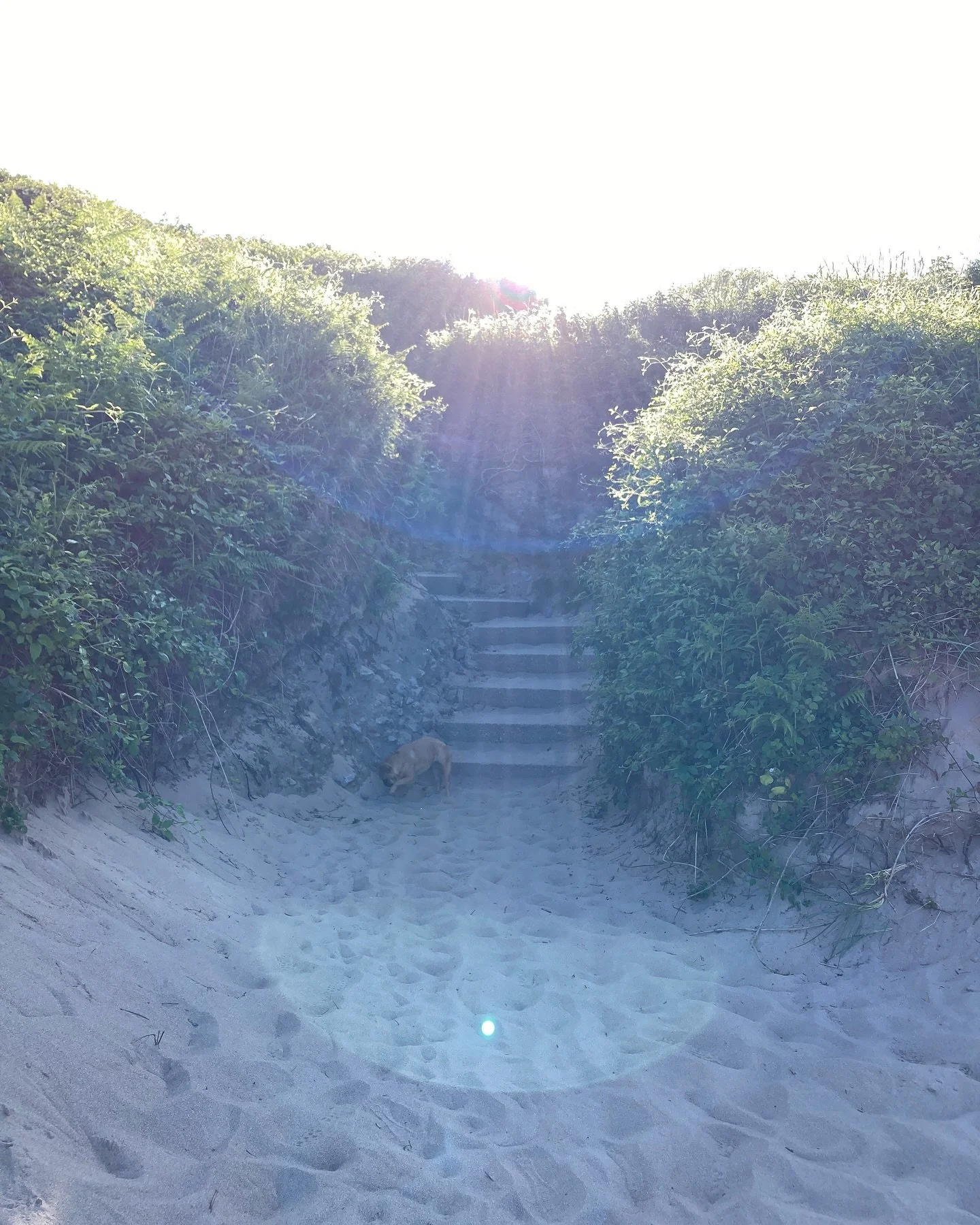 From the beach to the sunset…
#broadhavensouth 
#stackpole