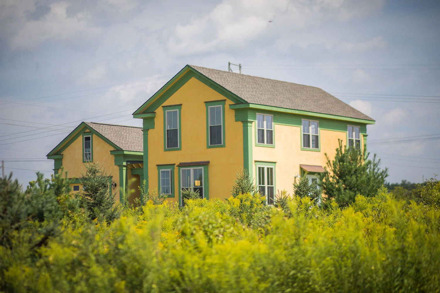 Lansing Houses-8179 schickel-construction.jpg