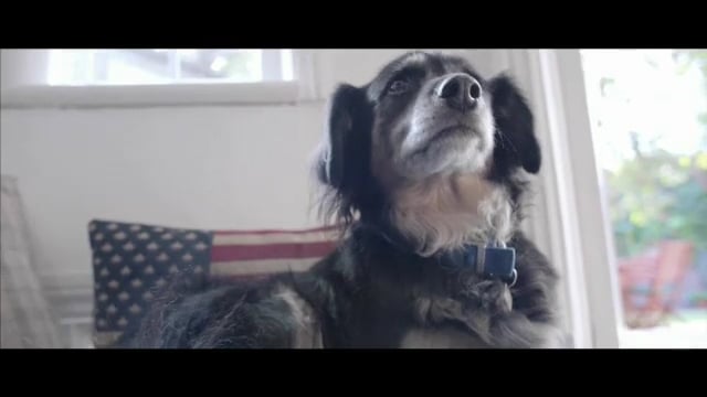 Battersea | Who Needs Who