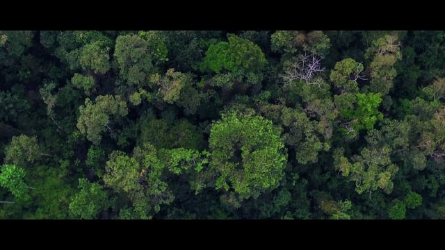 Costa Rica | Come Visit