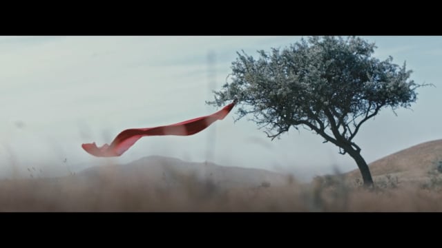 BAKU | EXPO 2025
