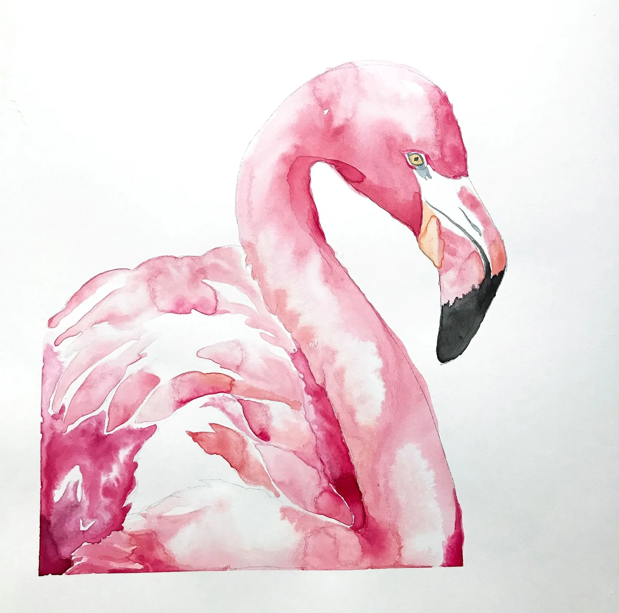 FlamingoPainting1.jpg