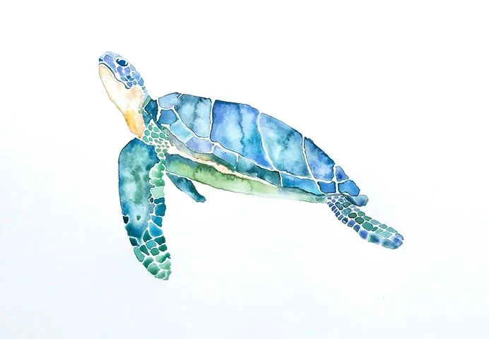 Turtle edited by Grace.jpg