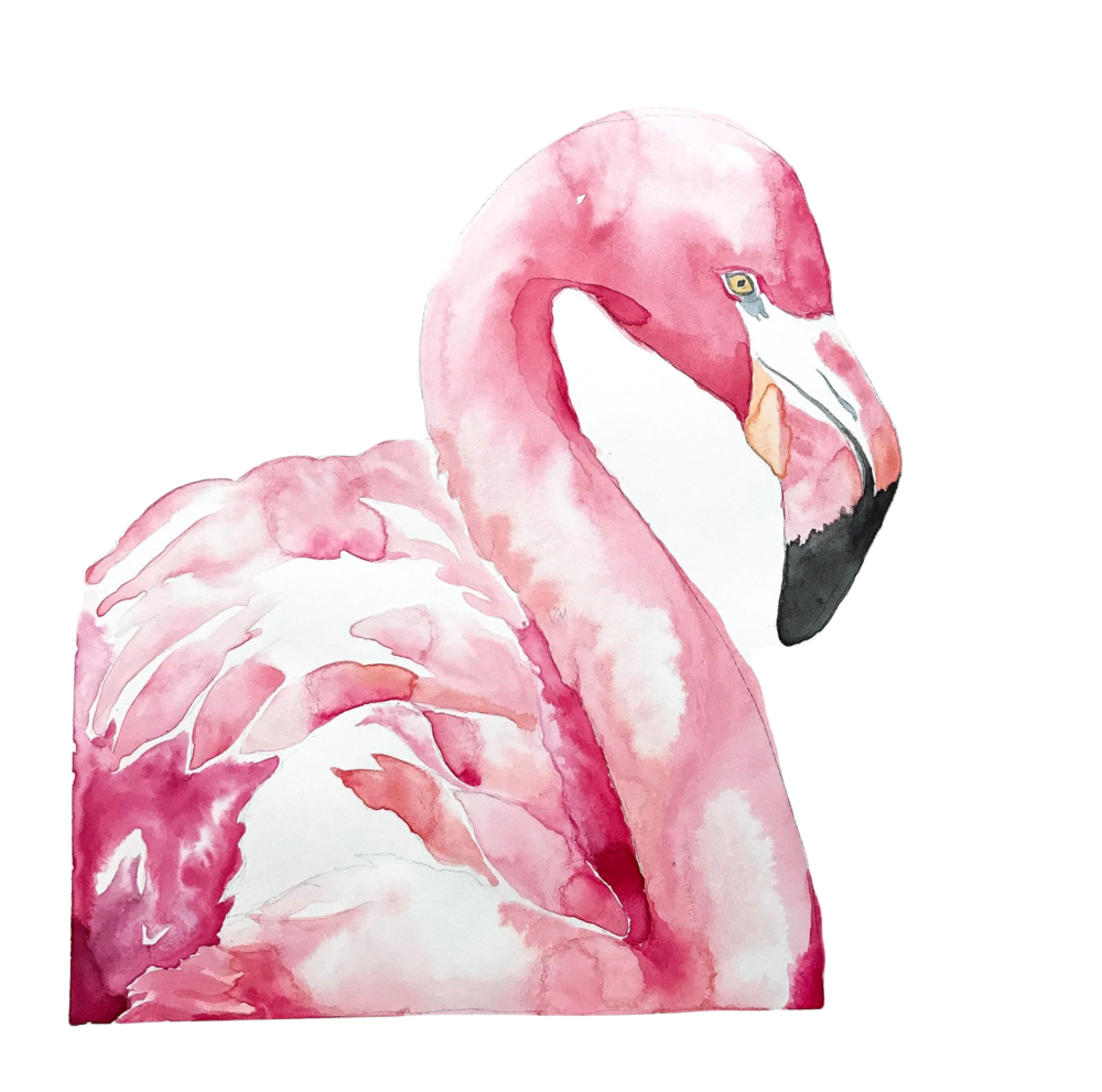 Flamingo Print — Grace Patrick