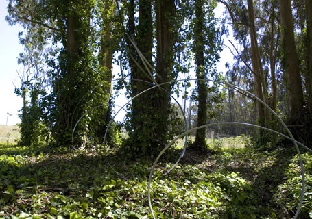 SD07.jpg