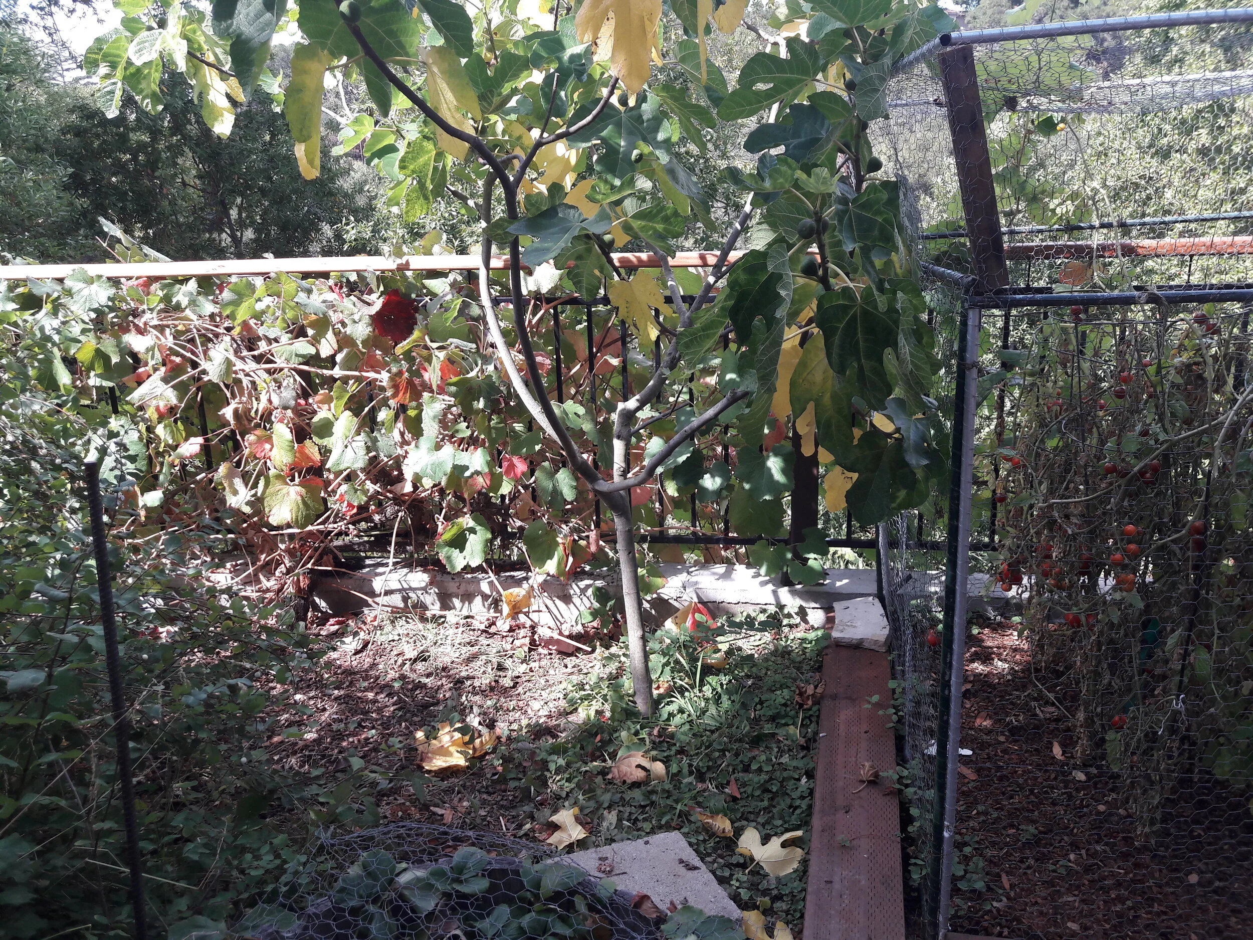 20181005_130812.jpg