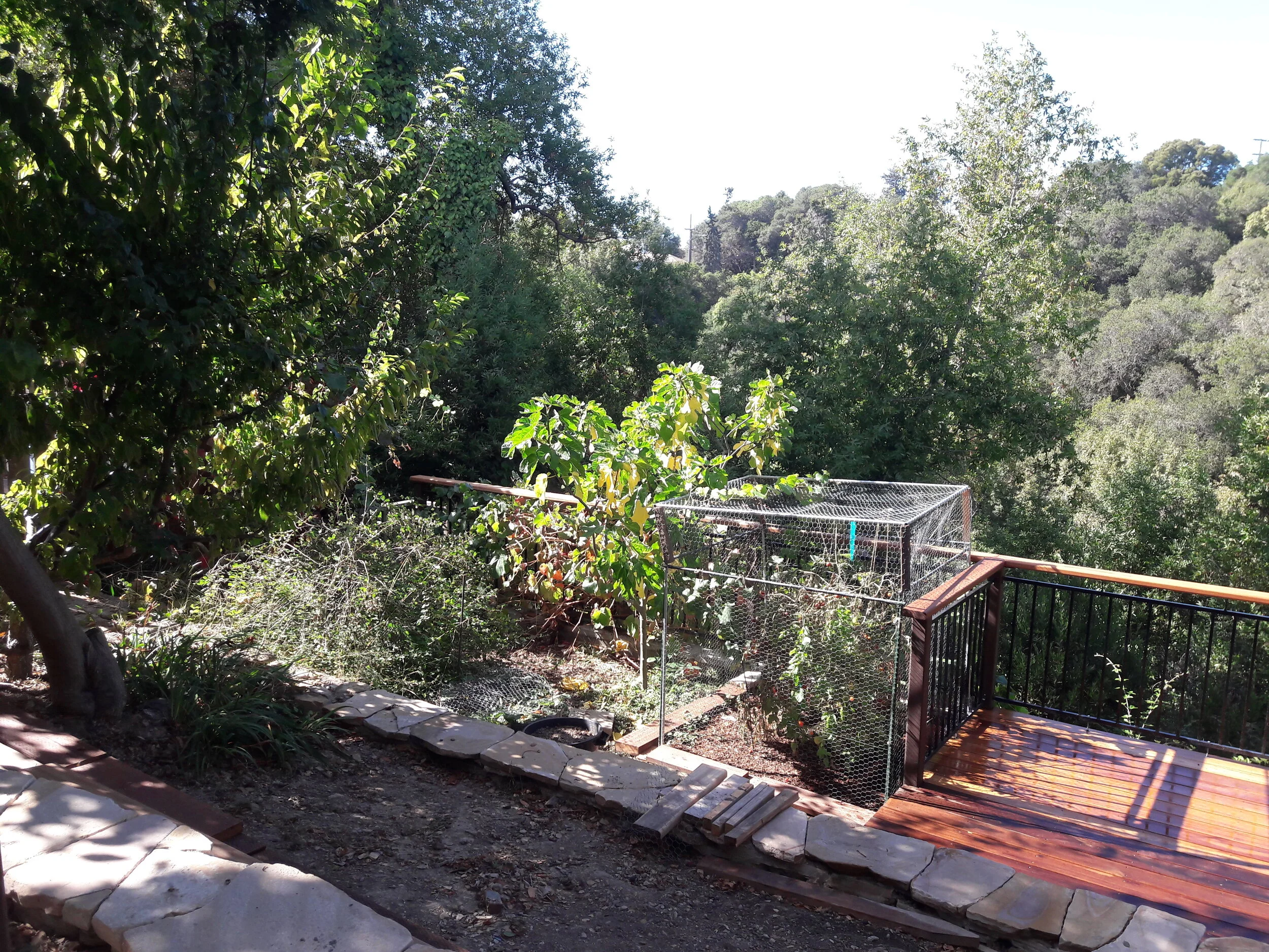 20181005_145106.jpg