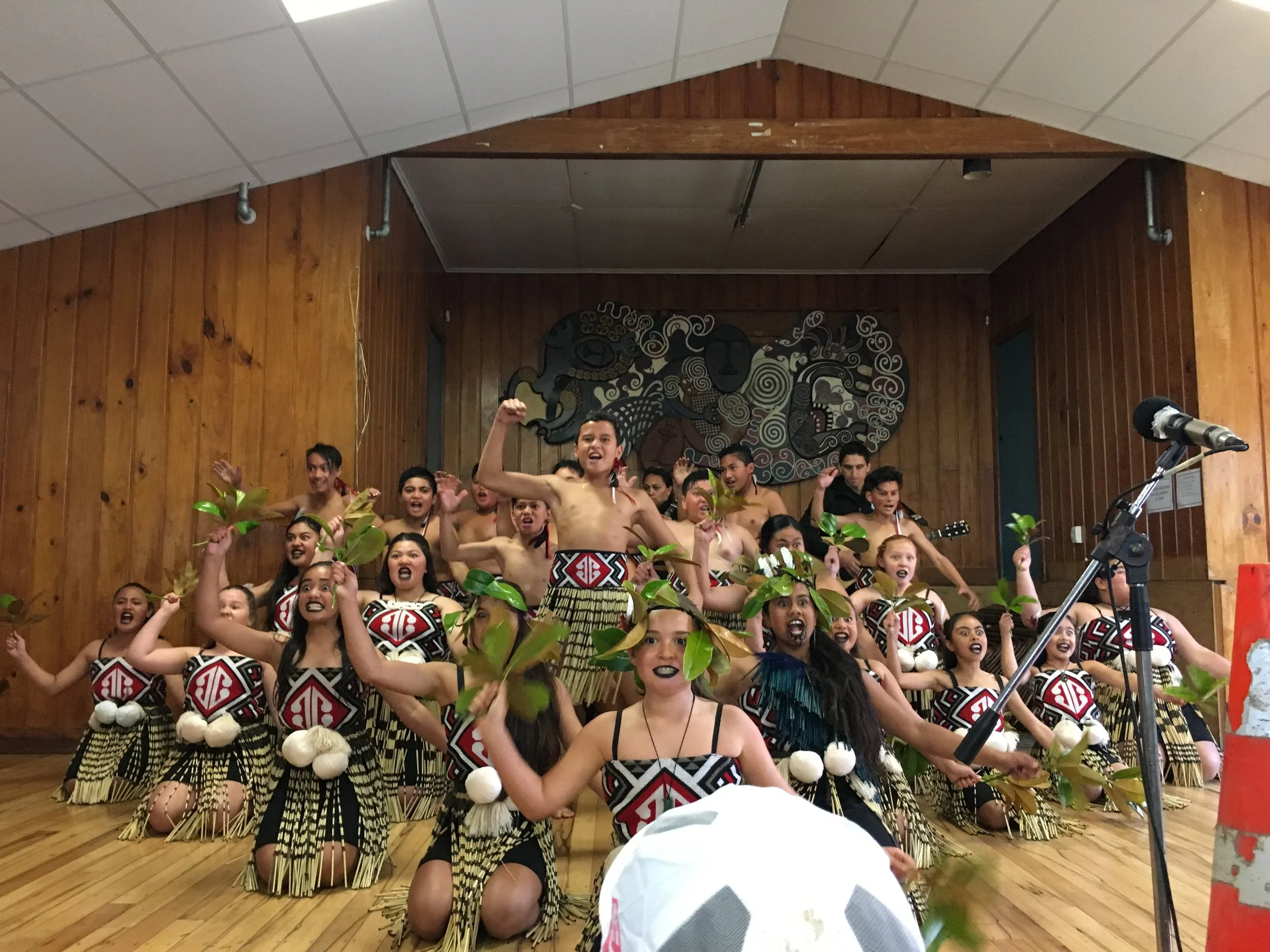 Off the Beaten Path at Awhi Farm