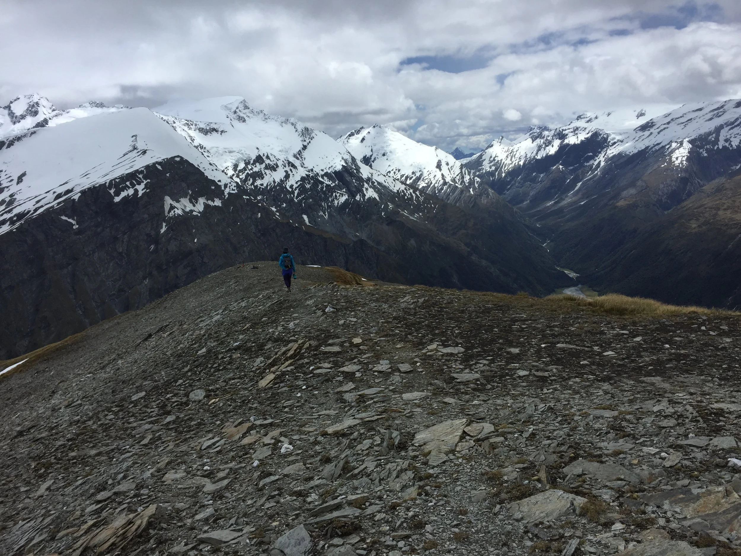 Friends & Family, Festivity & Fervor