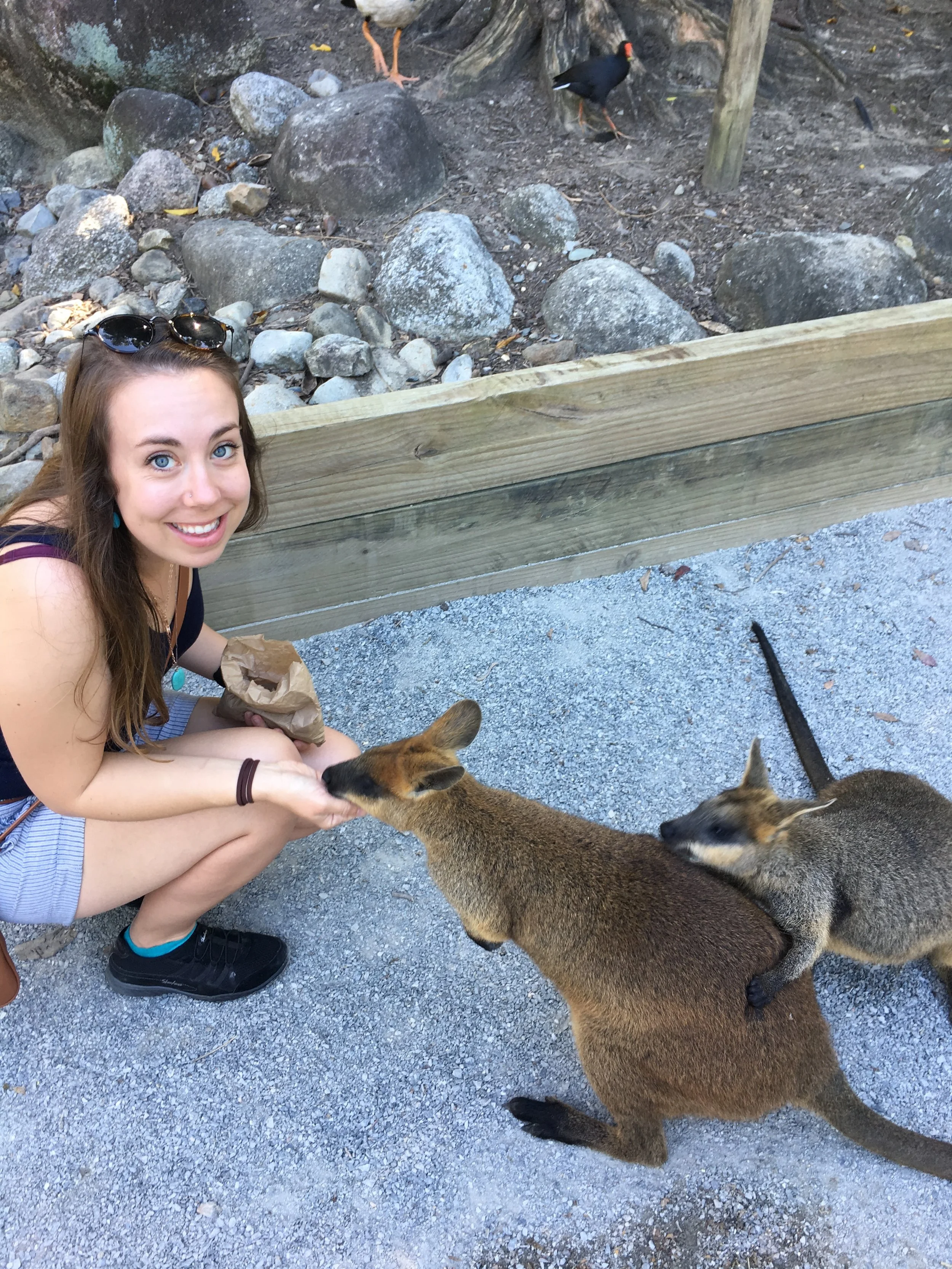 Route Back through the Outback