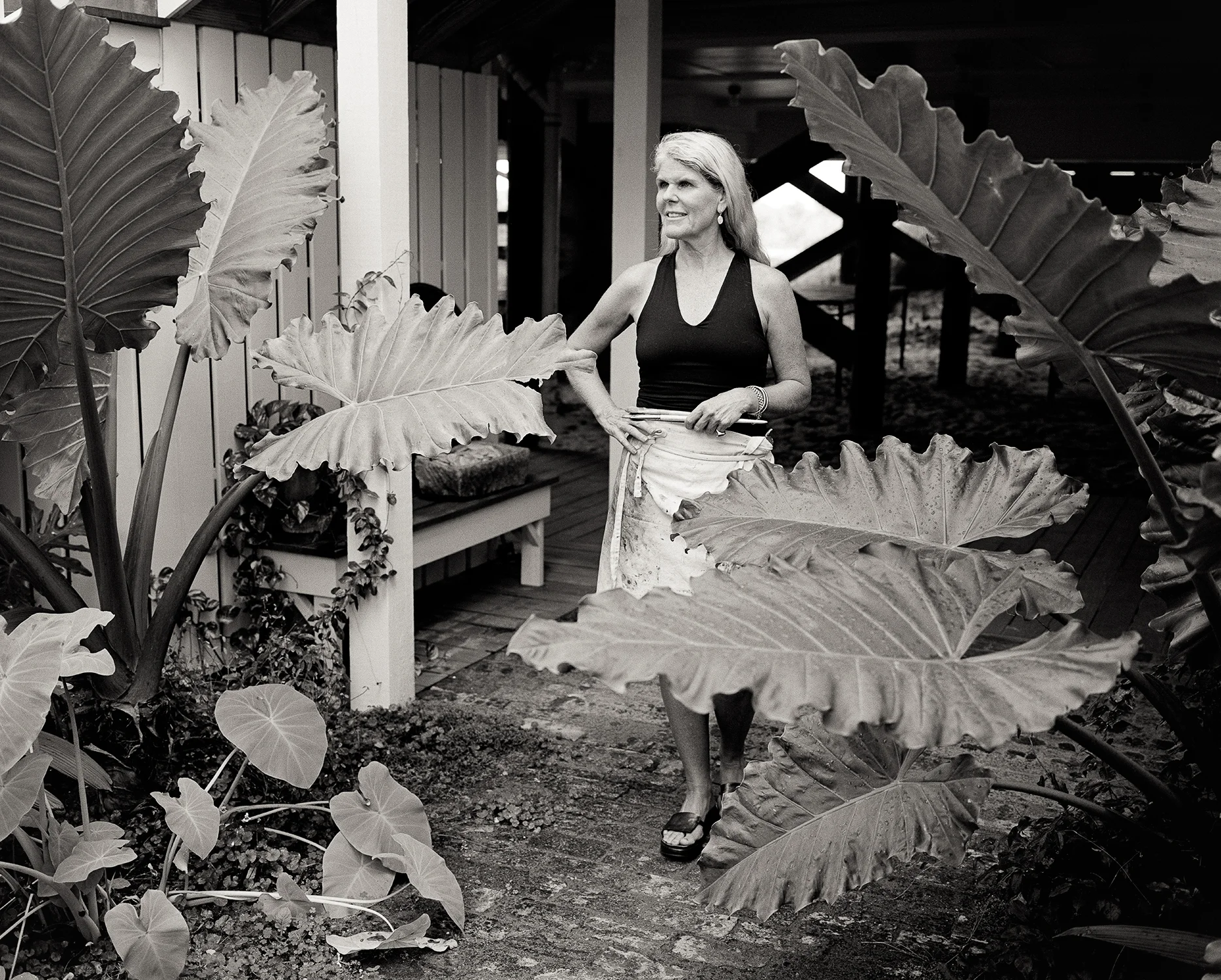 Photograph By Simons Finnerty