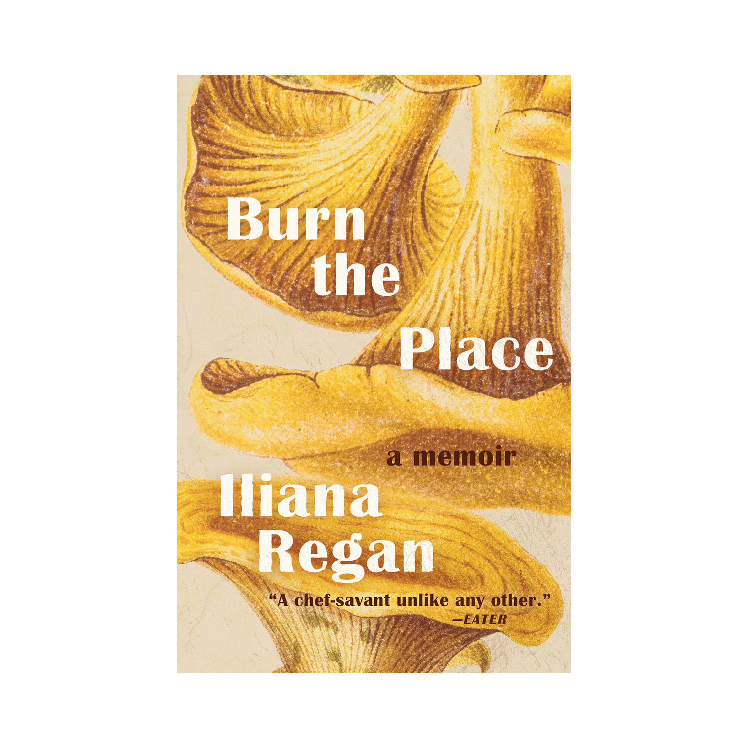 Burn the Place by Iliana Regan