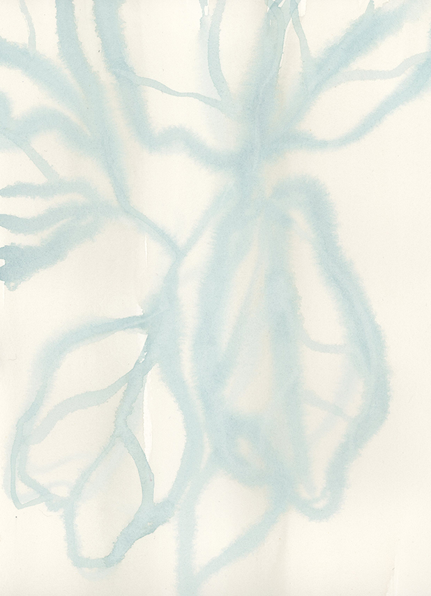 "Contour Leaves II" - Watercolor on Paper, 9" x 12" - by Emily Grady Dodge