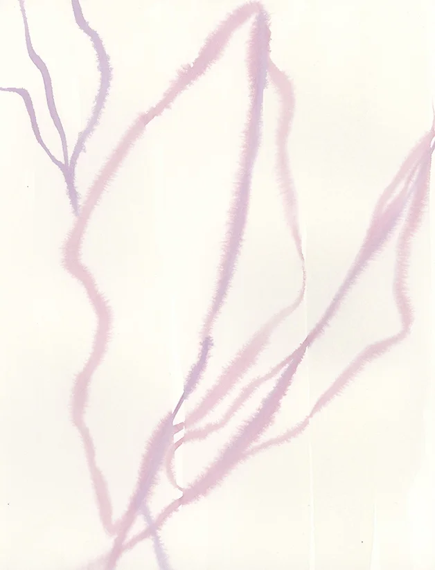"Contour Leaves I" - Watercolor on paper, 9" x 12" - by Emily Grady Dodge
