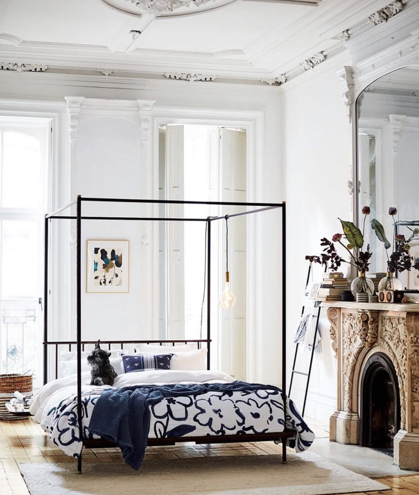 "Wild Orchids" - featured in Anthropologie catalog