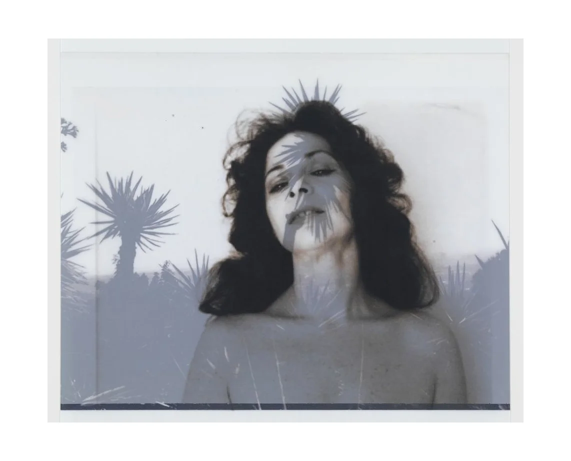 of Ruth Kligman, 1972 (photographer unknown) / after Bruce Davidson, 2008, LA (Runyon Canyon Road) 18x19, 2 inkjet prints on mylar, constructed, one over the other, 2012