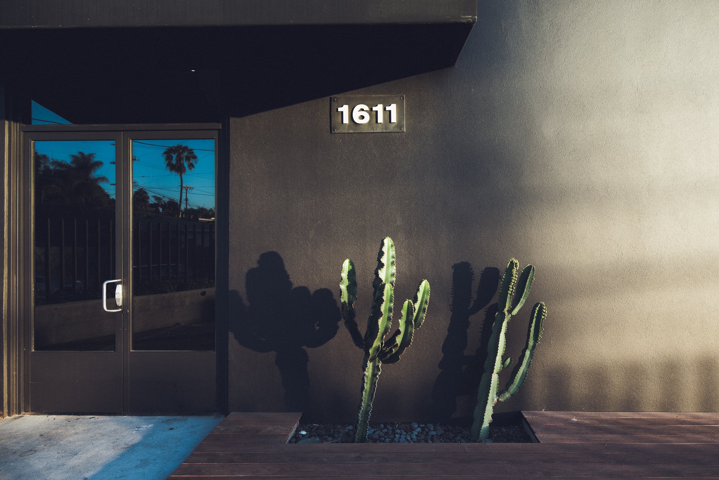 Cactus plants in front of a modern building entrance with glass door and the number 1611 on the wall.