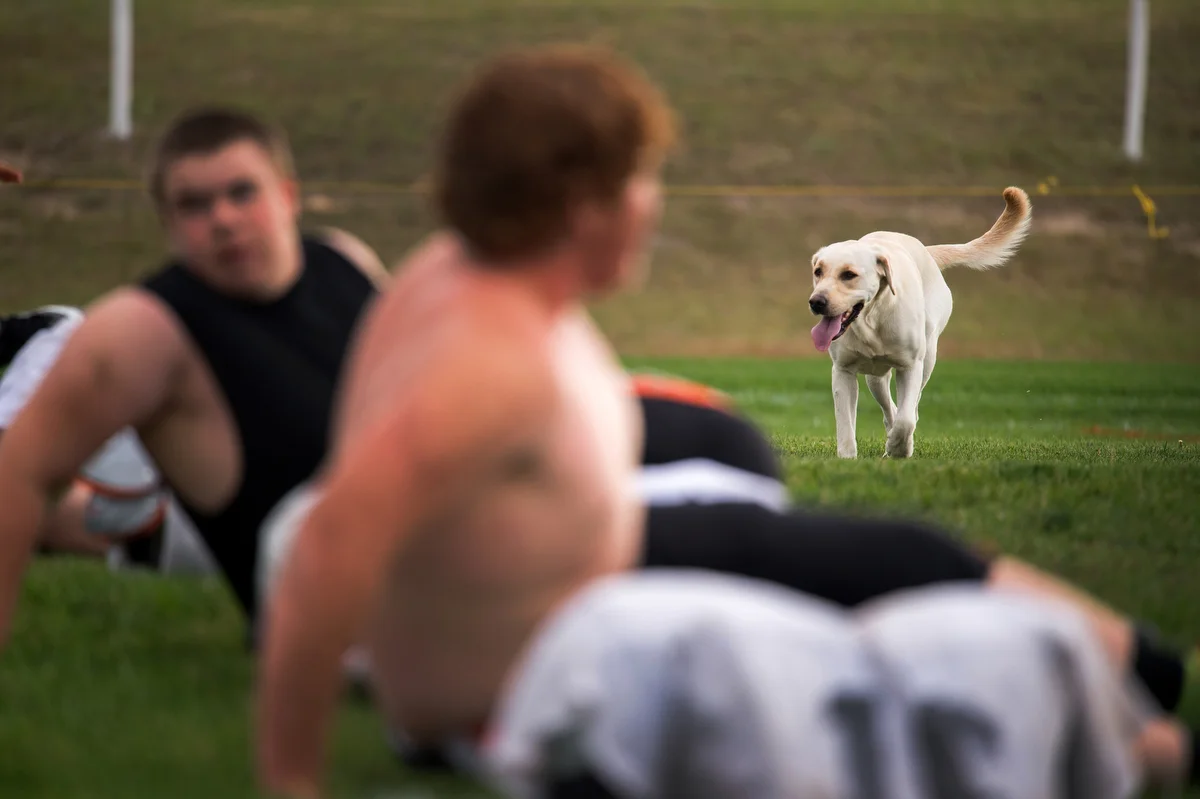 Local dogs are a fixture on small-town football fields. Sunny, eighth-grader Wayon Schneider's dog, watches as high school players stretch before practice. Students often carpool the 40-plus minutes to school, so football practices are always back to back - first junior high, and then high school.