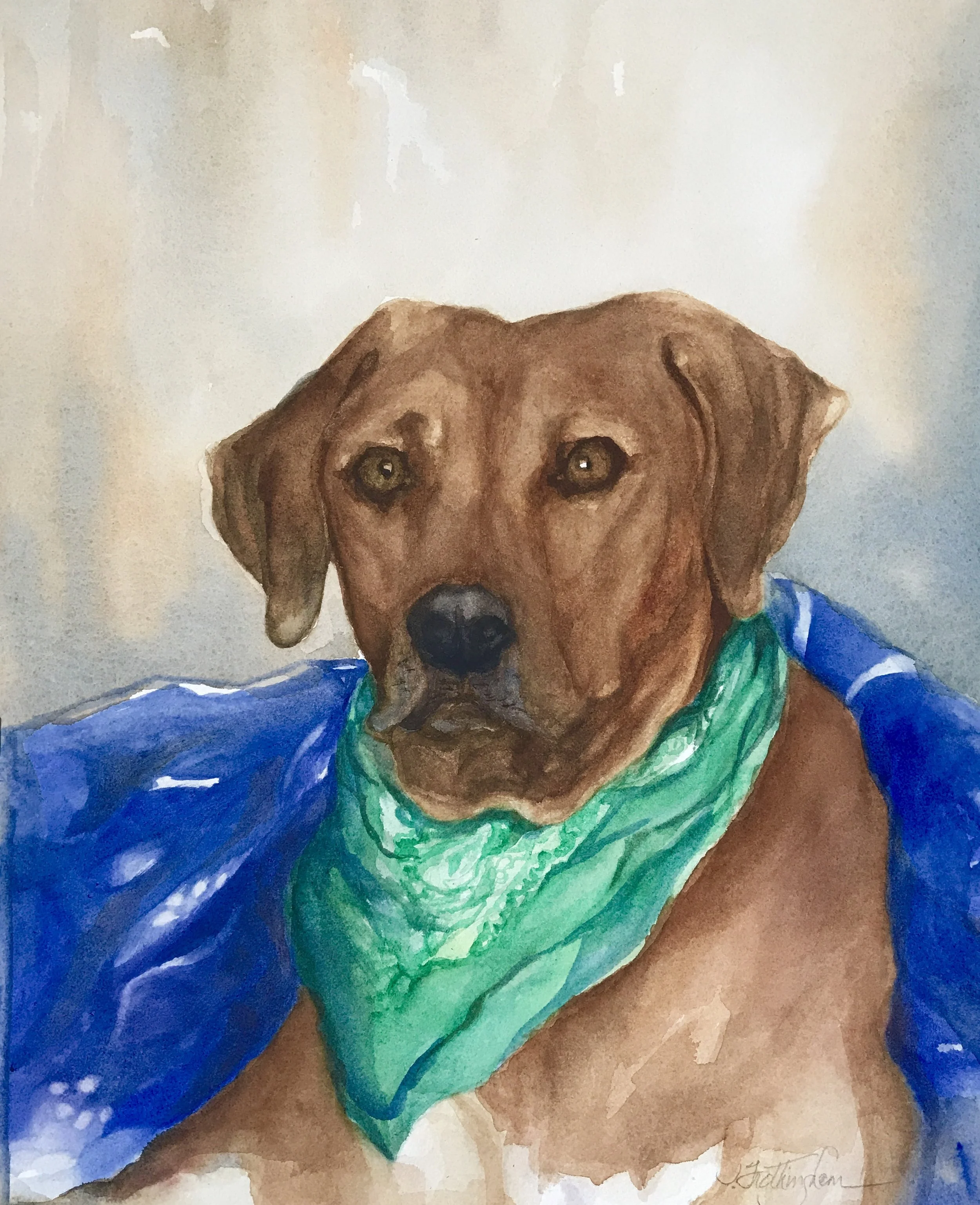 "Buddy"