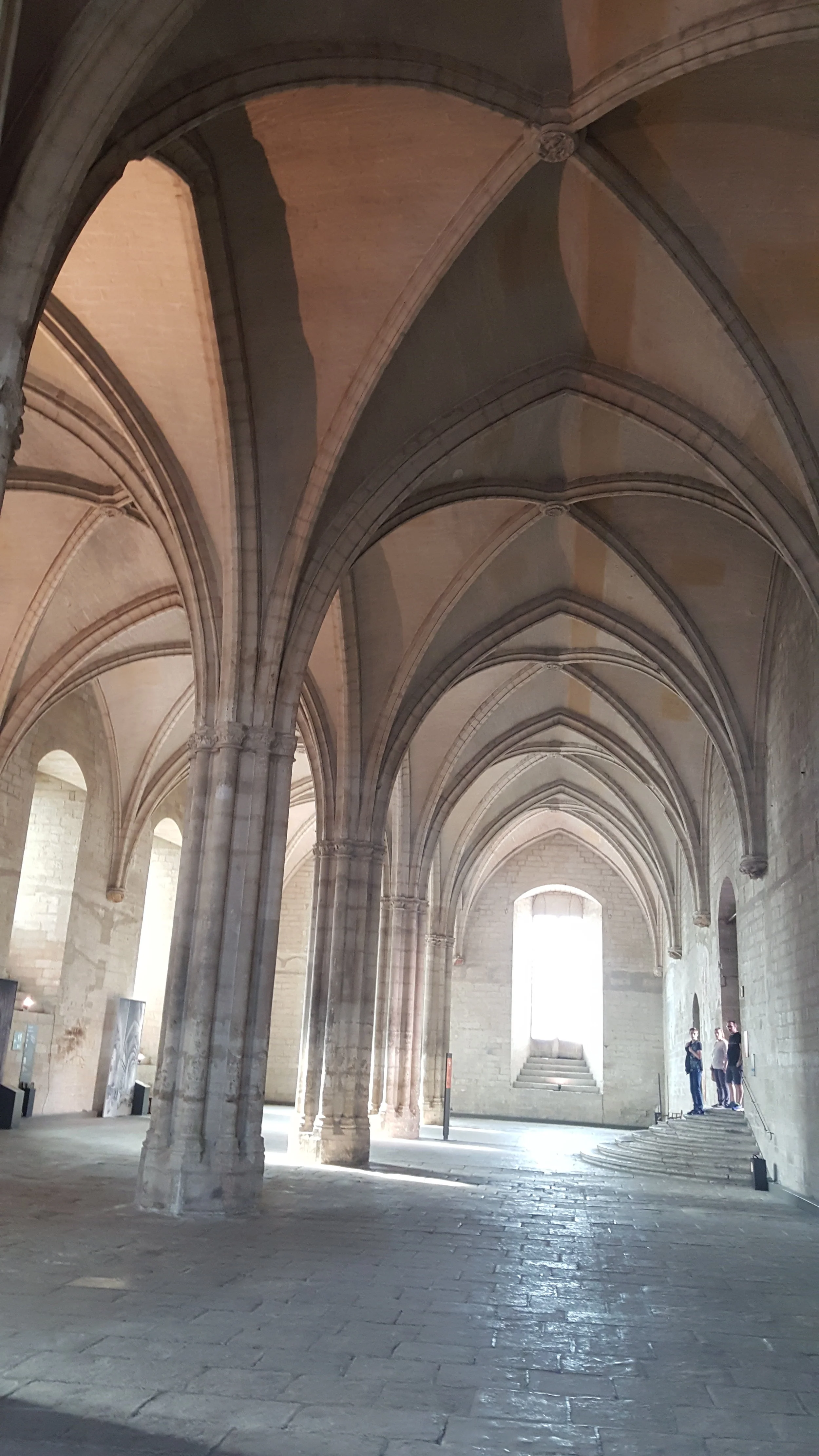 Palace of the Popes: like something out of Lord of the Rings!