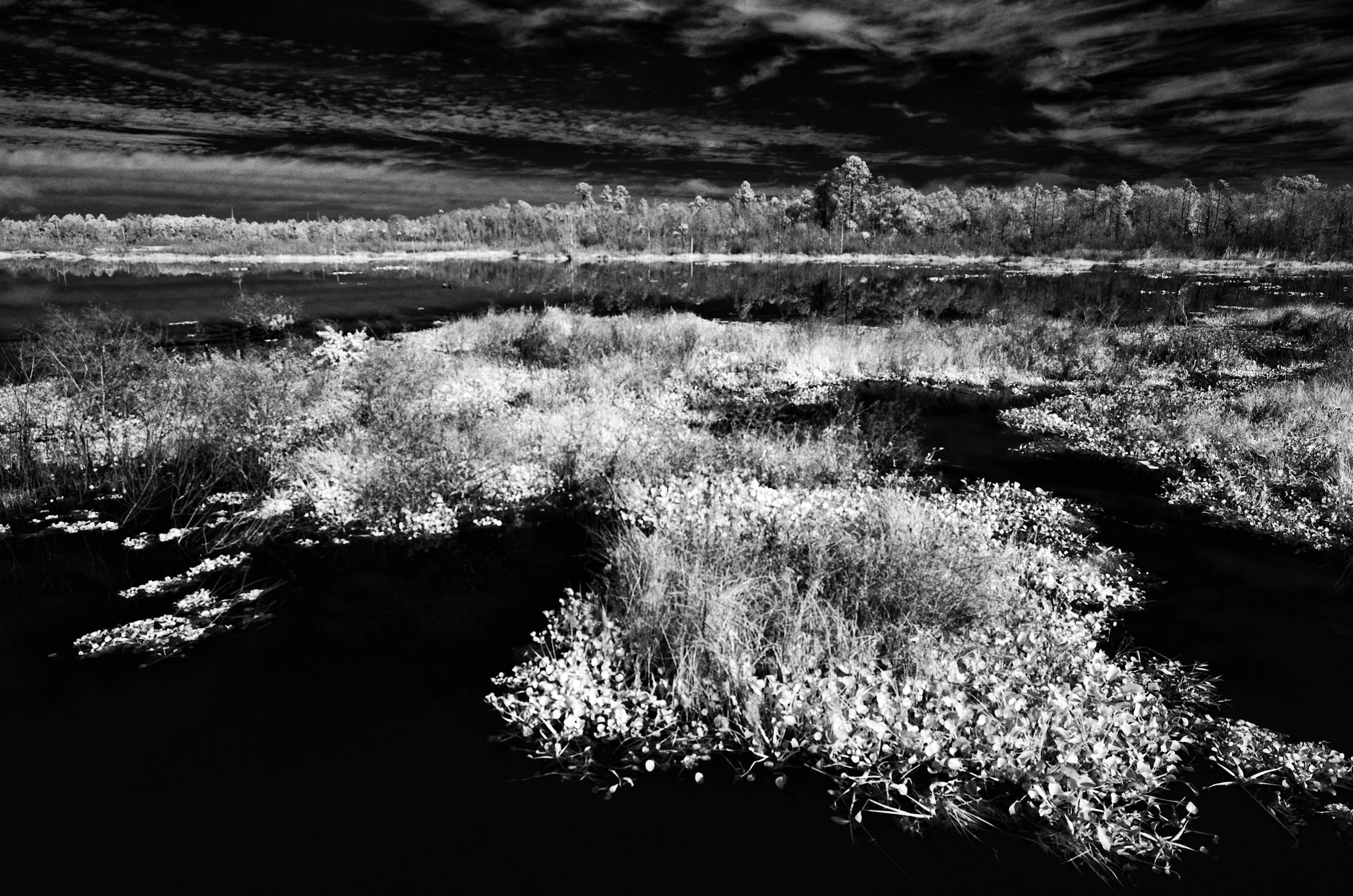 Ocklawaha River