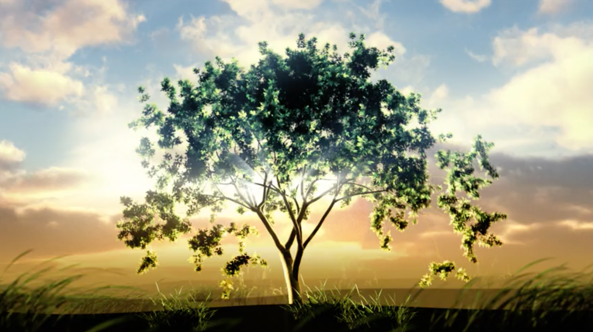 marla website tree still image.png