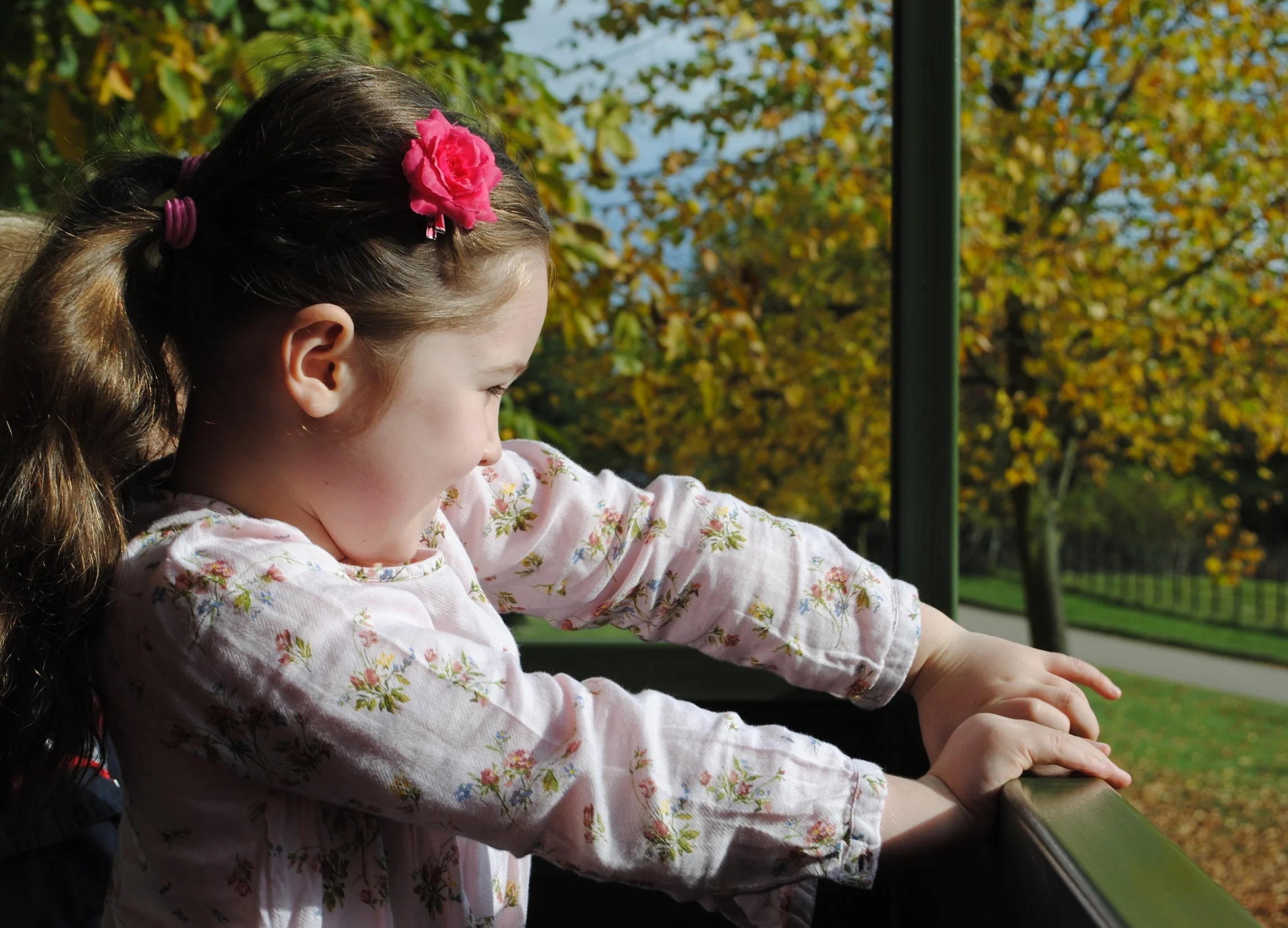 Who doesn't love a tractor ride in gorgeous Autumnal sunshine?