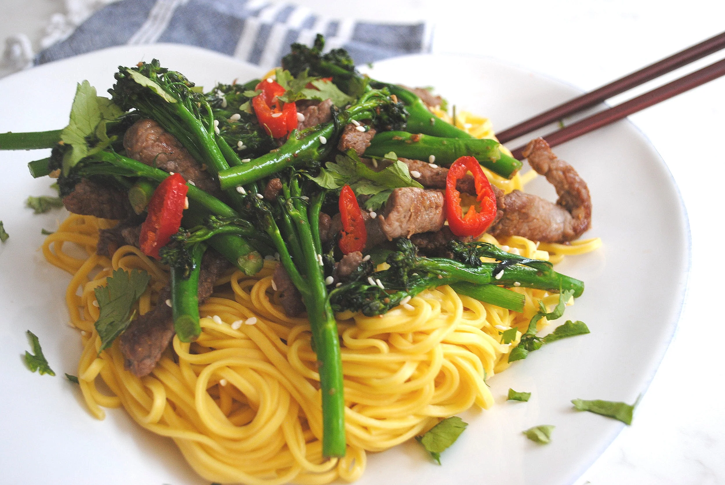 Beef and Broccoli Stir Fry