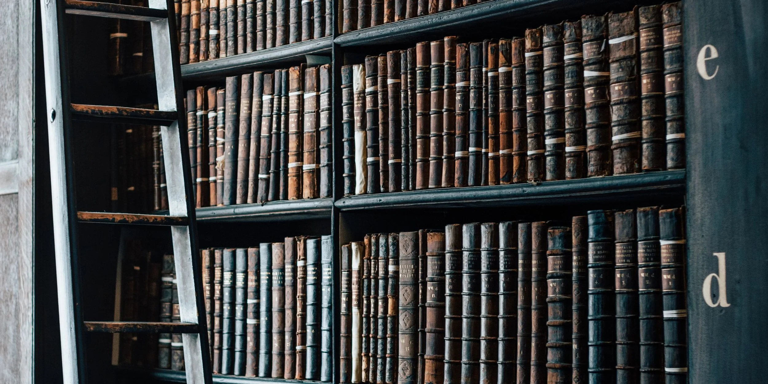 5 Books That Have Breathed Life Into Me