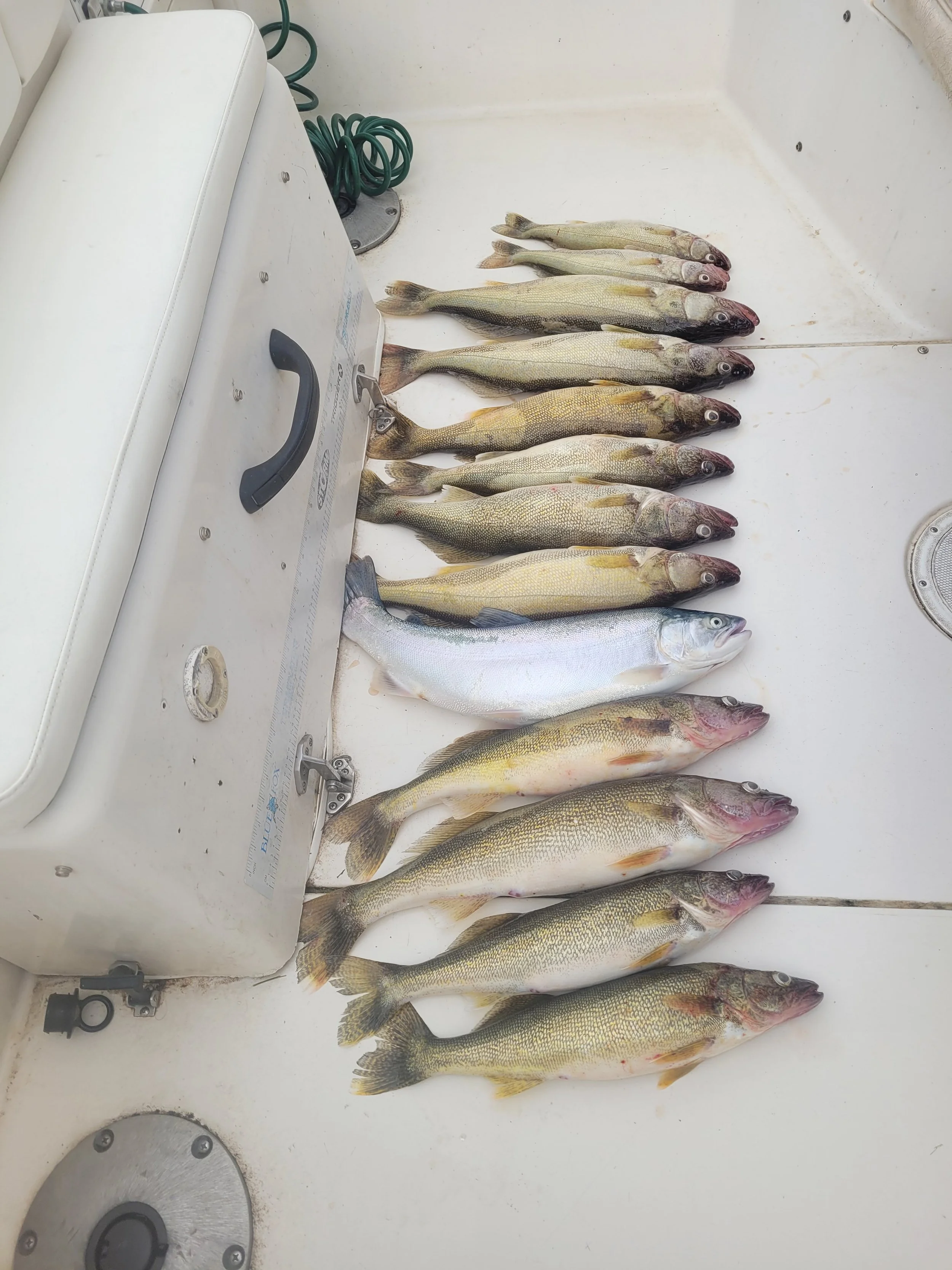 Copper Blues Fishing Charters