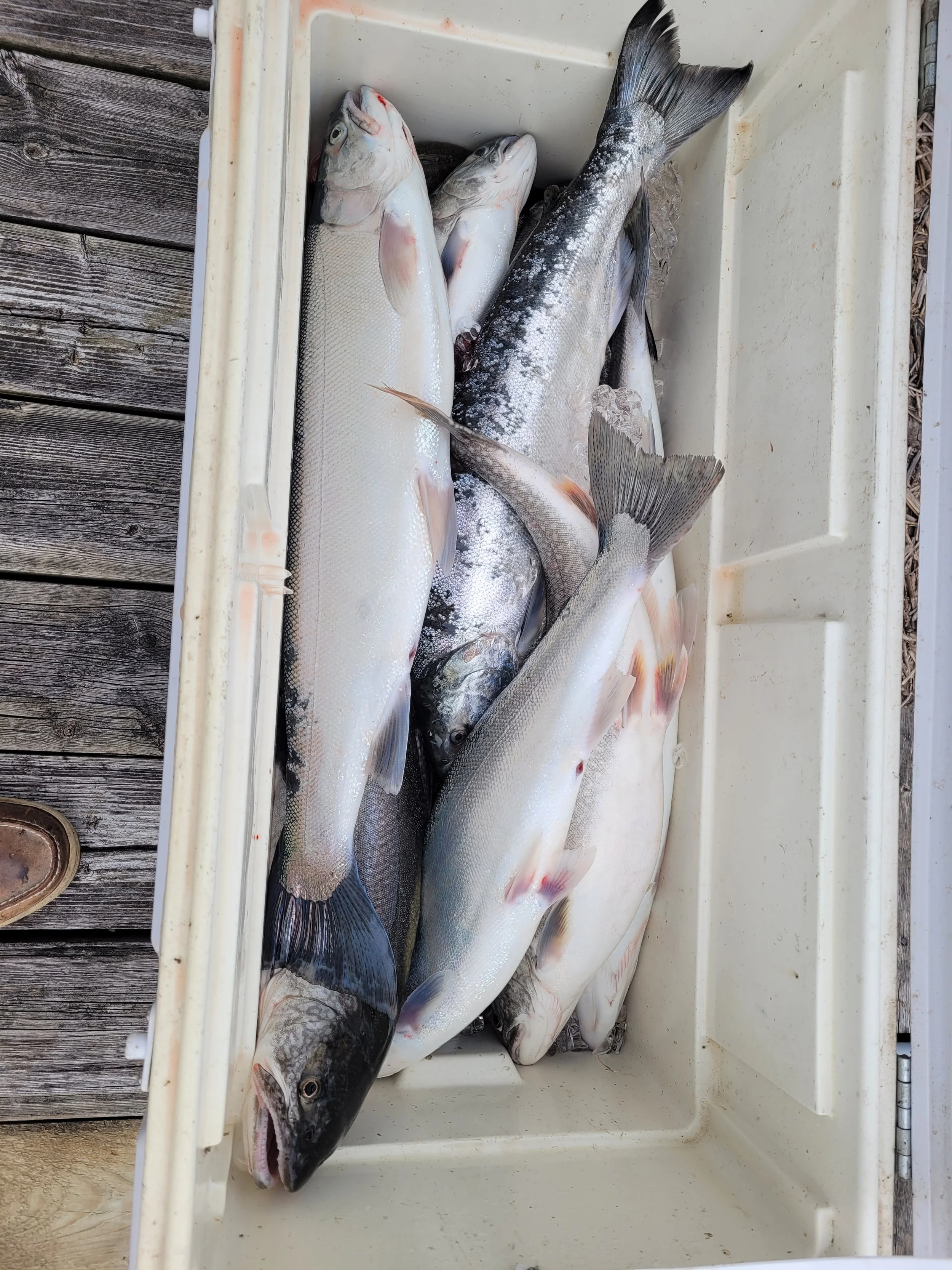 Copper Blues Fishing Charters
