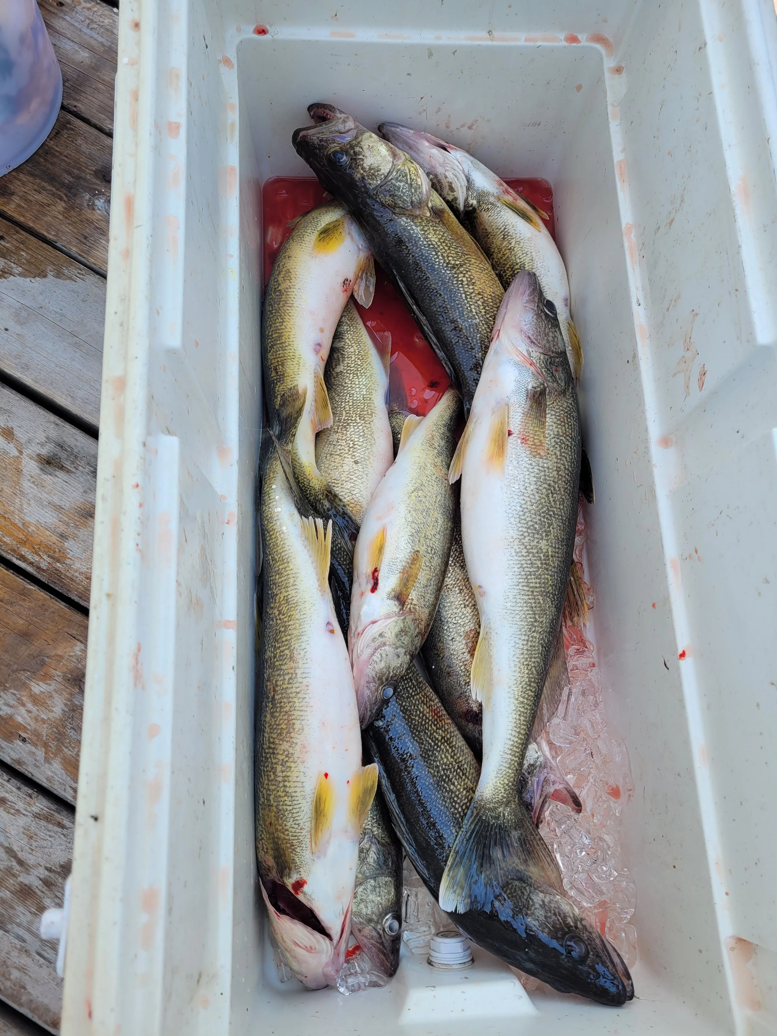 Copper Blues Fishing Charters