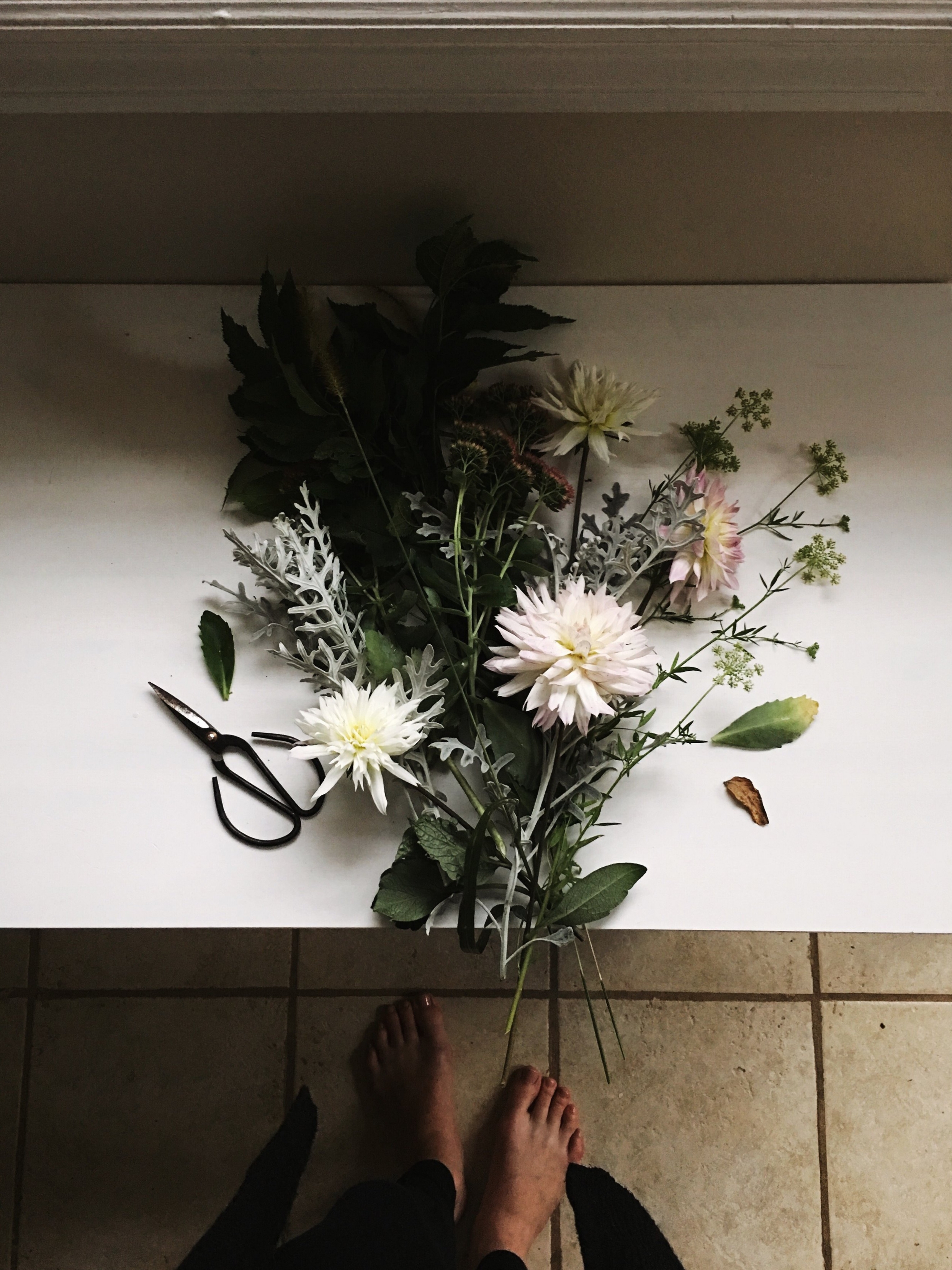 A CUT BOUQUET FROM THE BACKYARD.