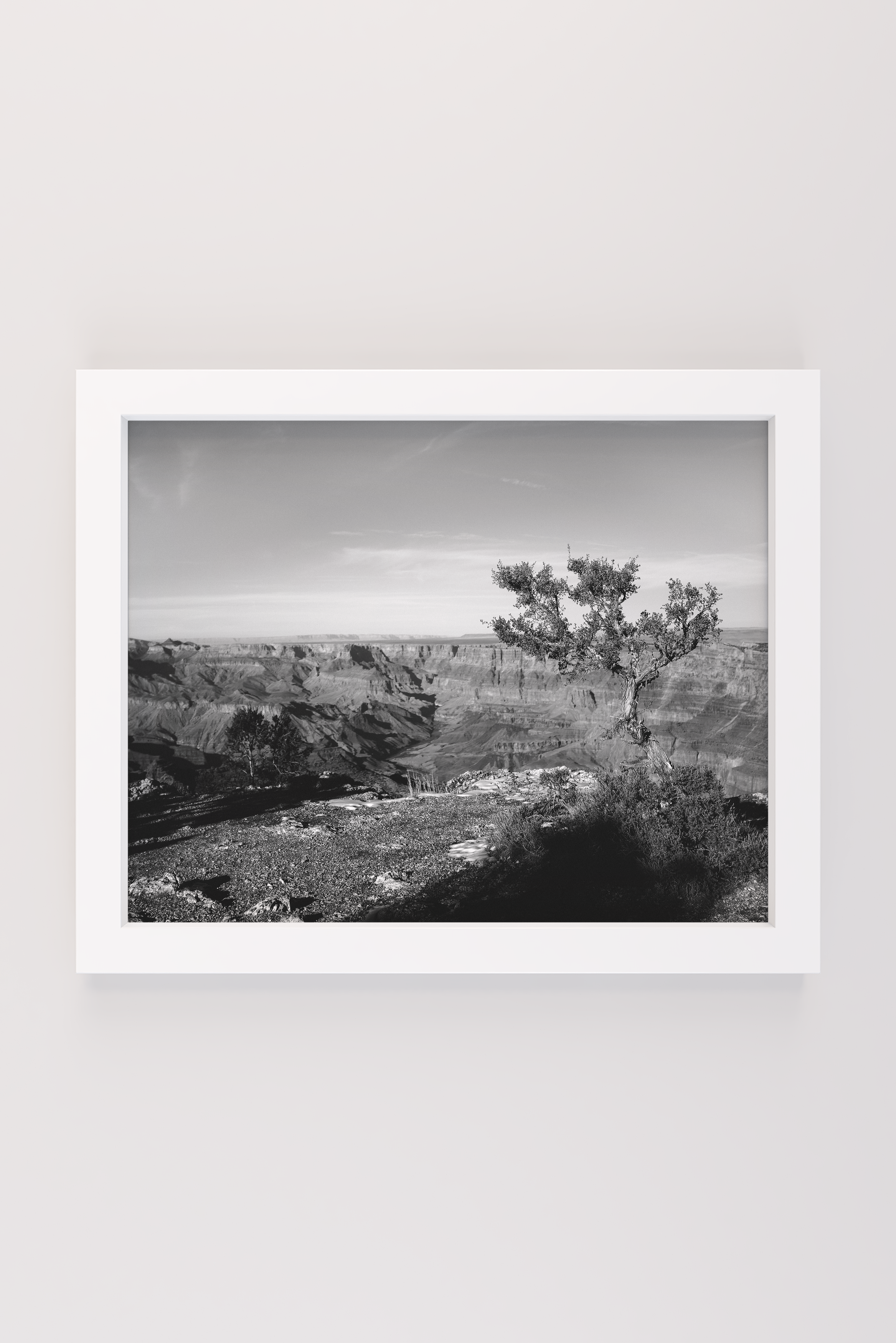 "South Rim Reacher" (Grand Canyon, Arizona)