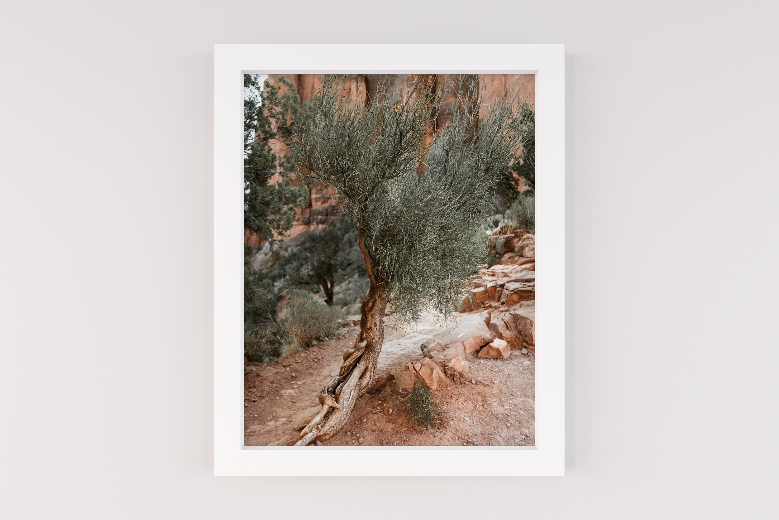 "Twisted Lean" (Sedona, Arizona)