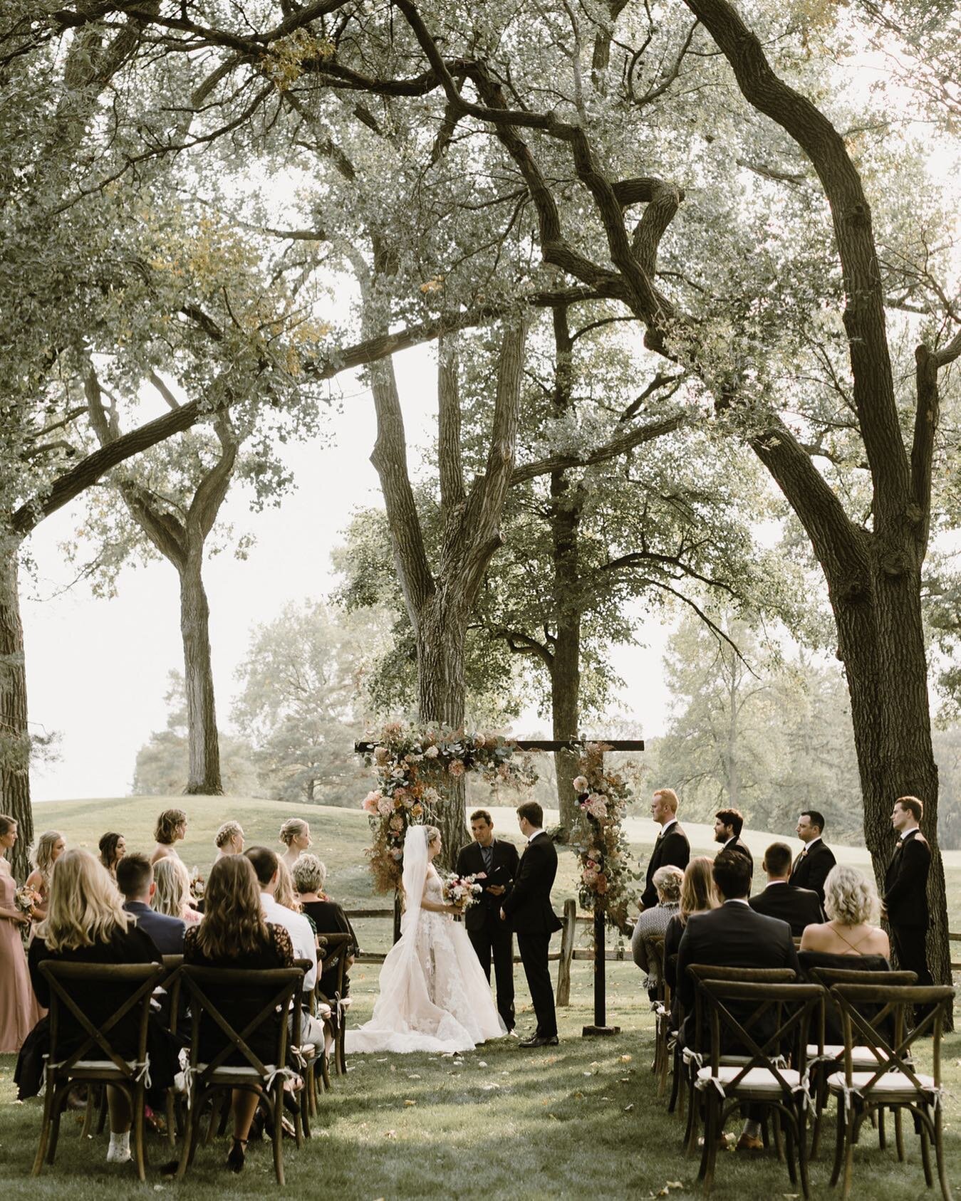 In case you need any more reason to believe that your &quot;plan B&quot; wedding plans can still be extraordinary...here you go. Can you believe this is the backyard of an AirBnb?!