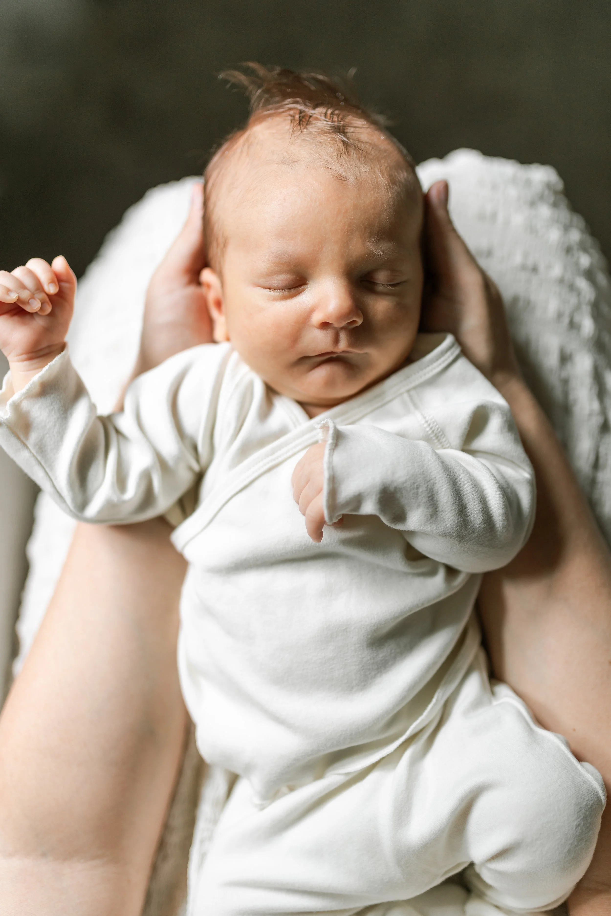 halfacrehouse_argirnewborn2024-11.jpg