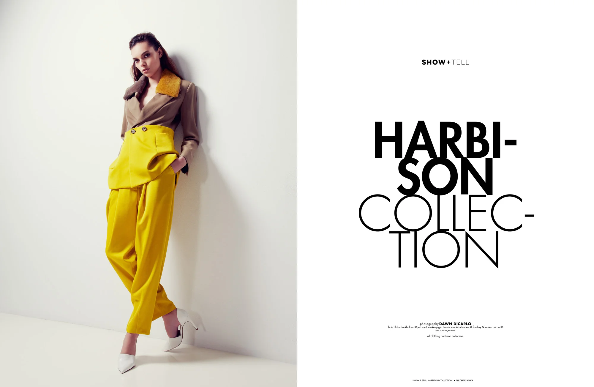 TO2W-ShowTell-HarbisonCollection.jpg