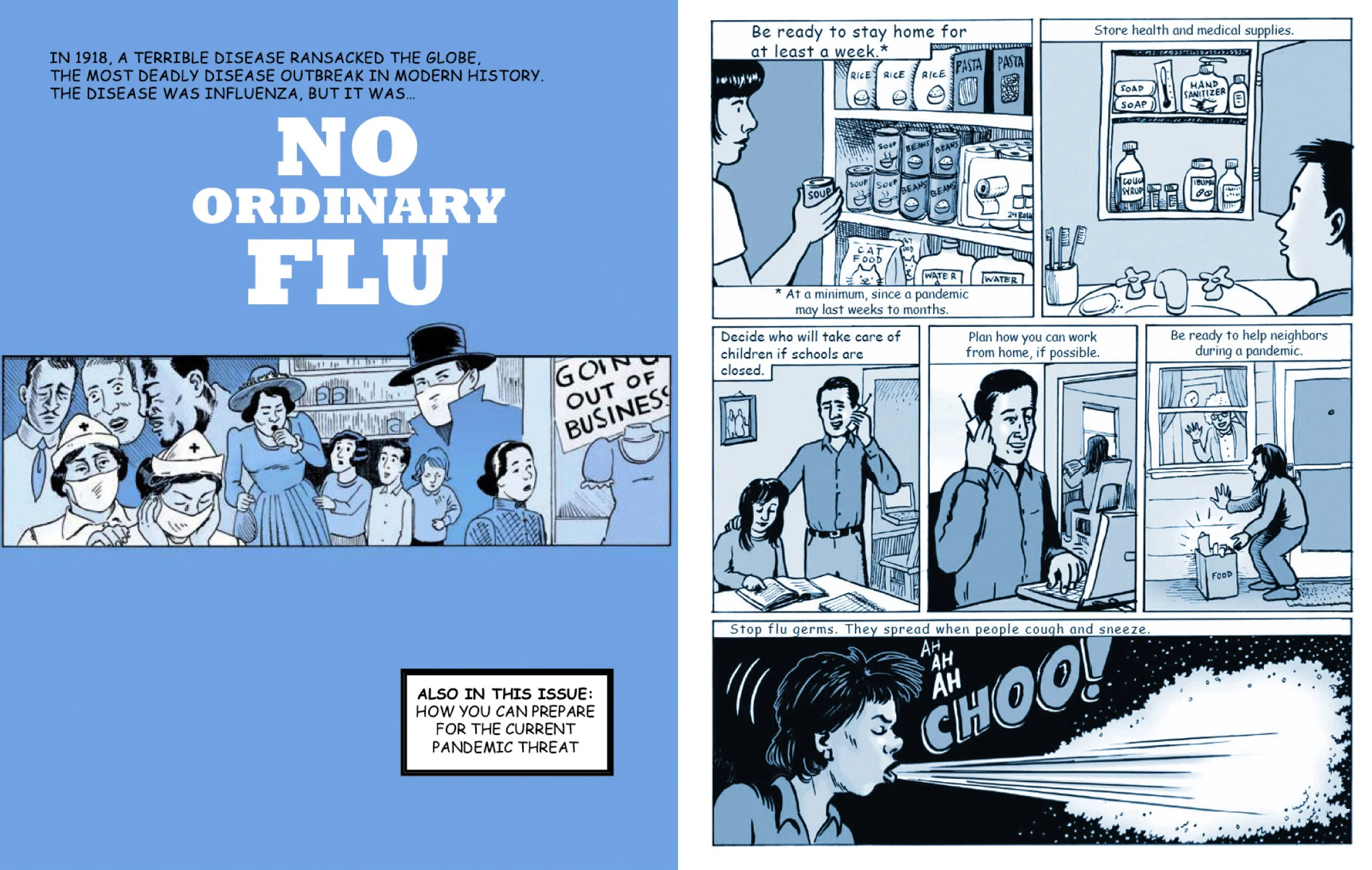 No Ordinary Flu