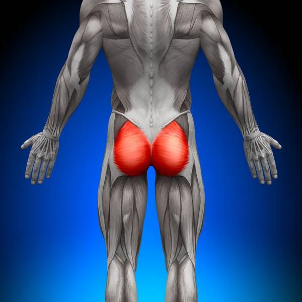 A cool paper on taping and reciprocal inhibition. “Hip extension increased significantly with gluteal taping (p < 0.05) for both walking speeds at late stance phase of walk compared to sham taping and control. The mean absolute difference between gluteal and control conditions for self-selected velocity was 14.2 degrees (95% CI 8.6 to 19.8) whereas the difference between sham and control conditions was 2.0 degrees (95% CI –2.0 to 6.0). Also, for both speeds, step length on the unaffected side increased significantly with gluteal taping compared with either the control or placebo” conditions. link to full text: http://www.sciencedirect.com/science/article/pii/S0004951406700629 Aust J Physiother. 2006;52(1):53-6.Gluteal taping improves hip extension during stance phase of walking following stroke. Kilbreath SL , Perkins S , Crosbie J , McConnell J .